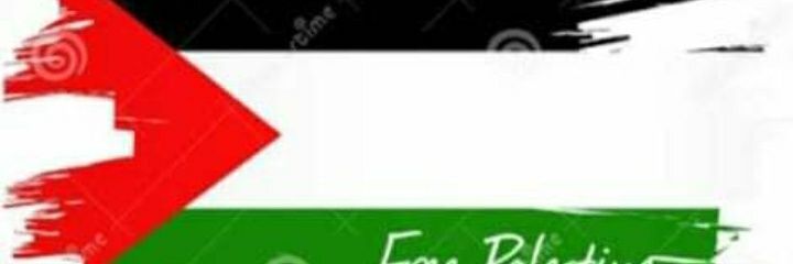 bravolli's profile banner image