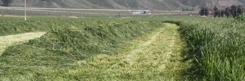 Peter Ballerstedt banner