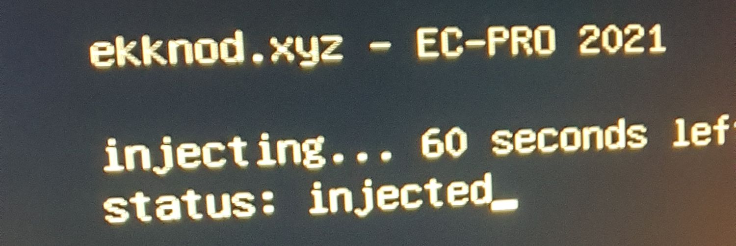 deport ni66ers banner