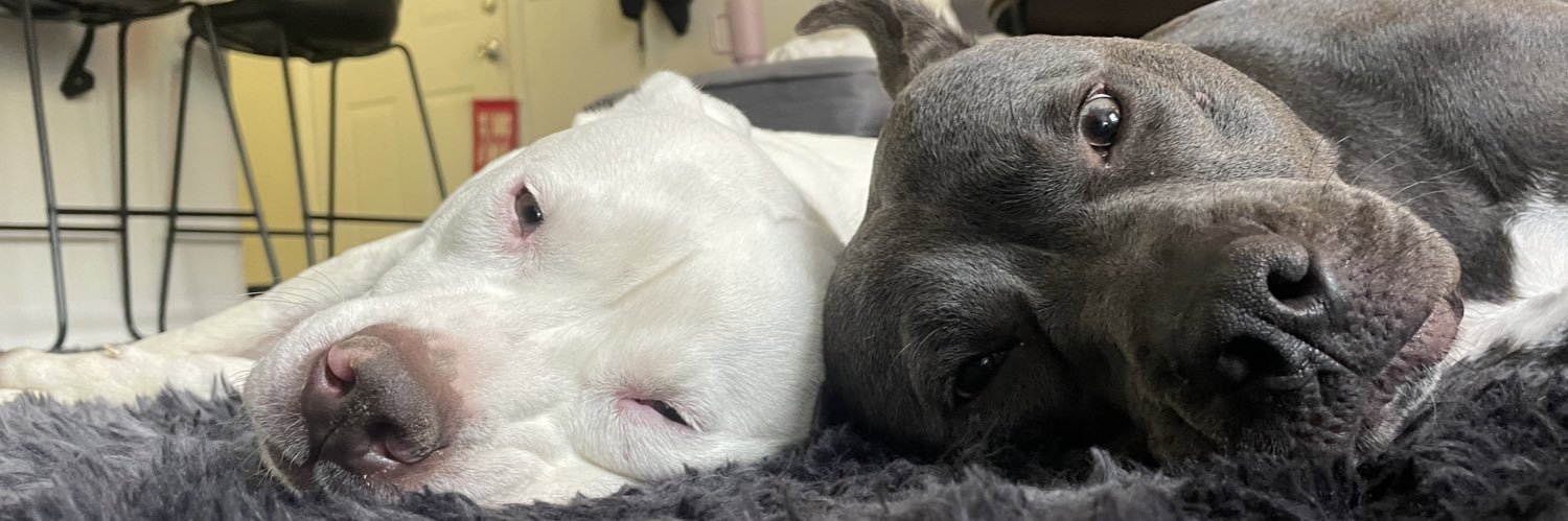 Nick Markanich banner