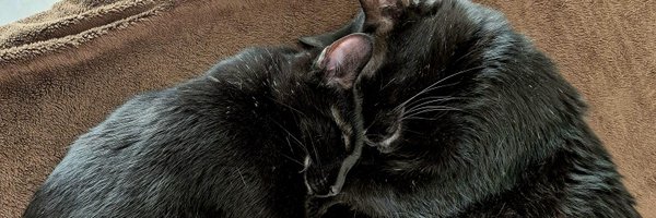 chrisom Profile Banner