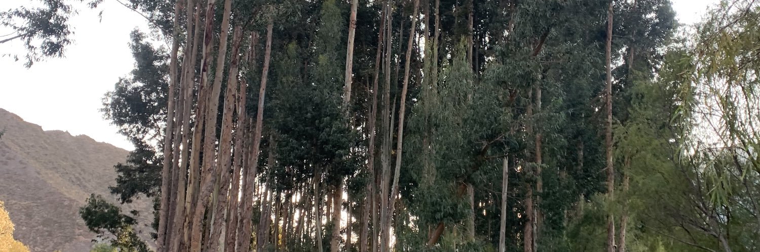 AdaMejia28's profile banner image