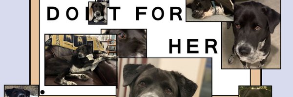 MsDeragisch Profile Banner