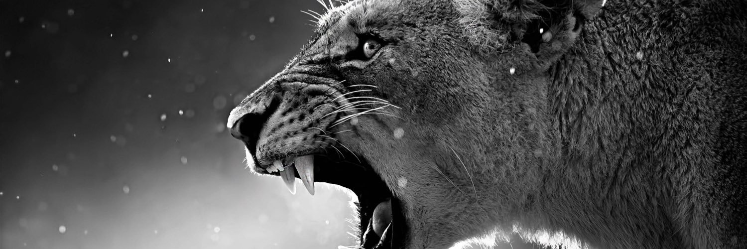 feralexval's profile banner image