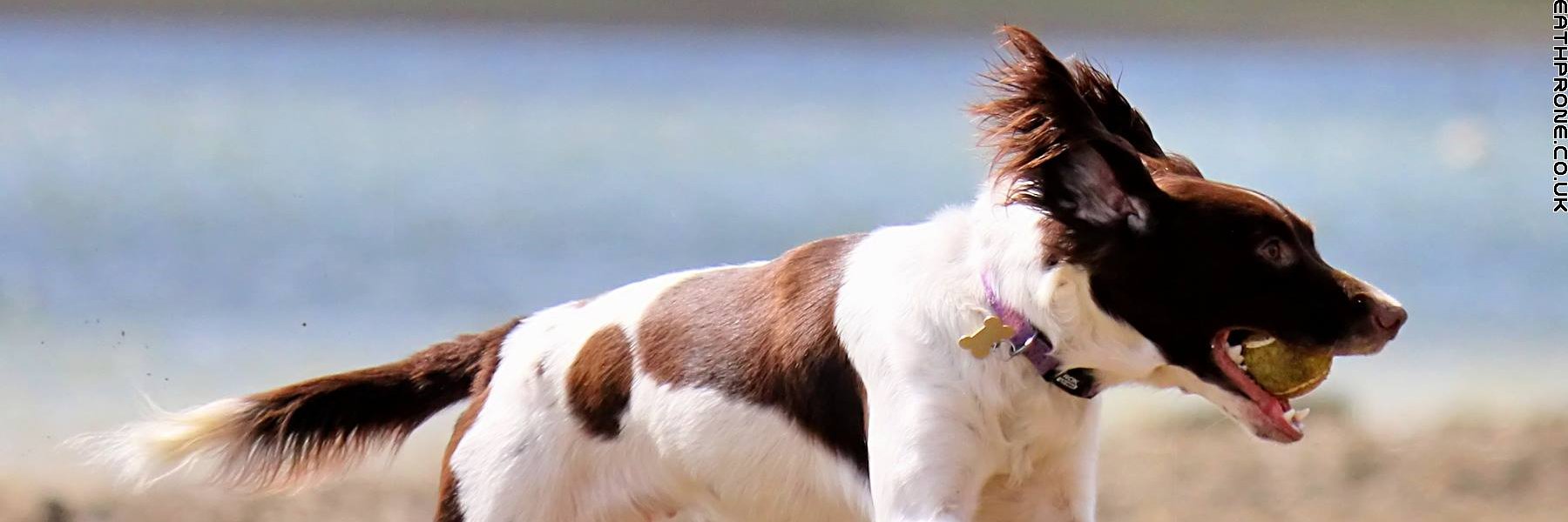 TeesMum's profile banner image