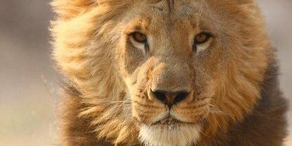 gortizleon's profile banner image