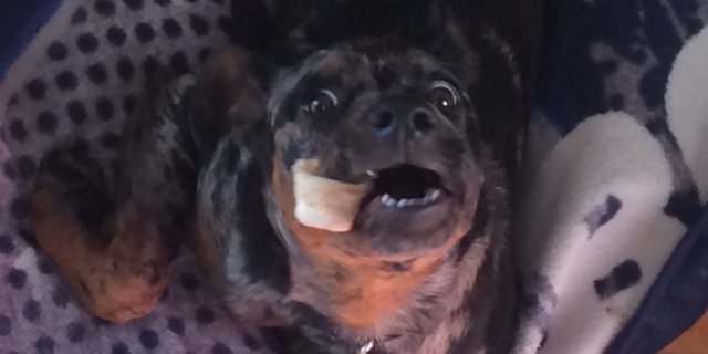 dangufoundme's profile banner image