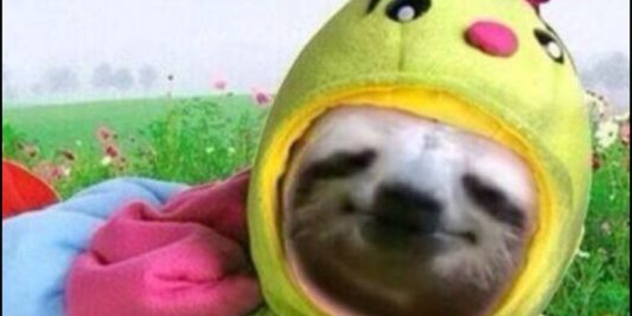 jillkusx's profile banner image