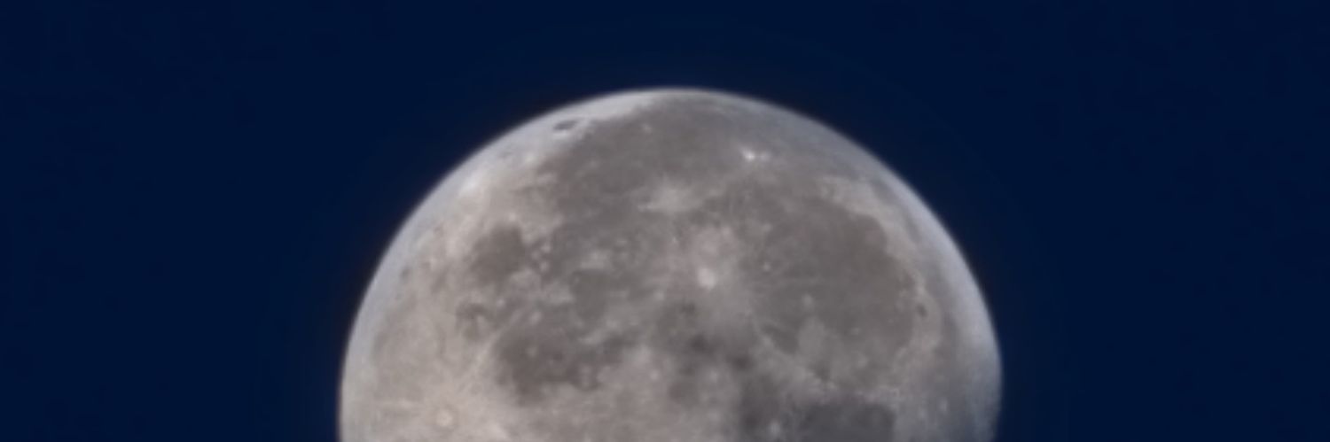 Necalli_Rey's profile banner image