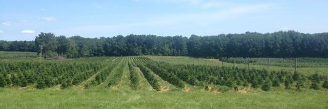 stokoefarm's profile banner image