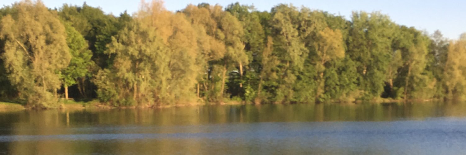 MathieuGrHaar's profile banner image
