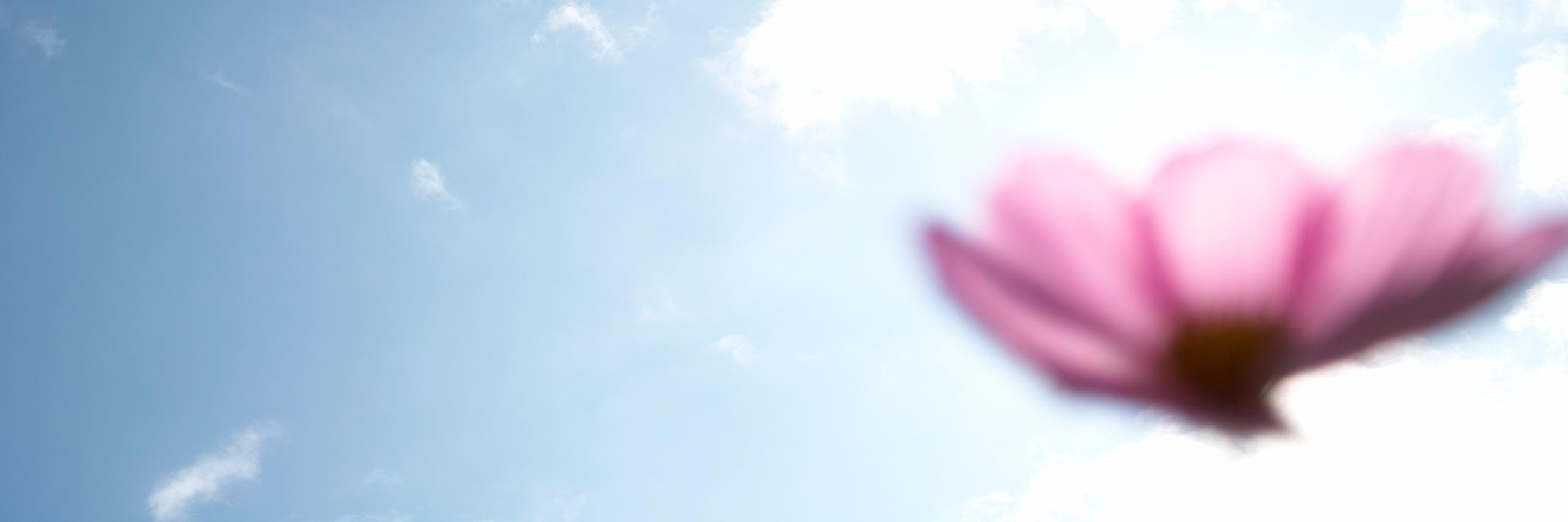intentioneself1's profile banner image