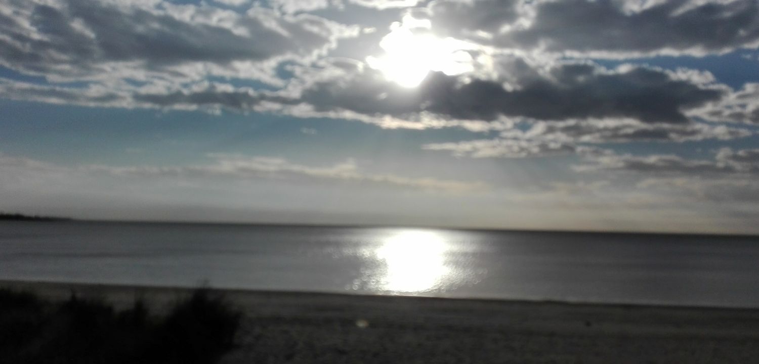 gastonogo's profile banner image