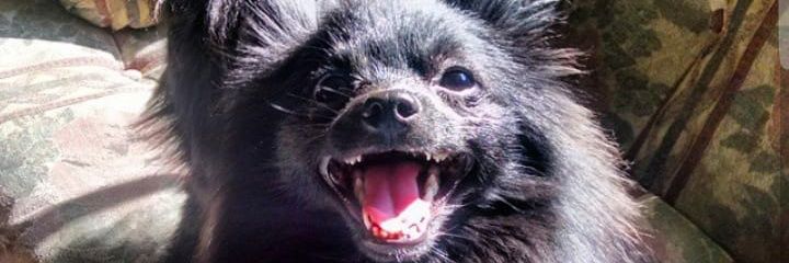 DenisseRuRe's profile banner image