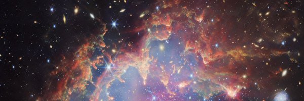 scrambledgregs3 Profile Banner