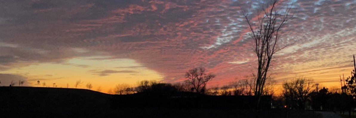 cyncity_7's profile banner image