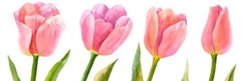 AngieRod512's profile banner image