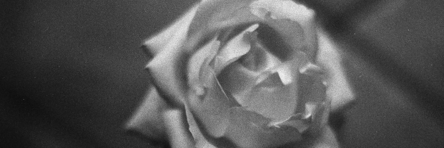 emimorasca's profile banner image