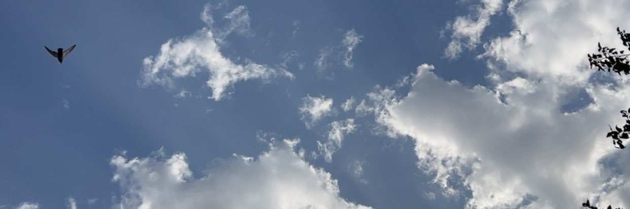 rabiah_m's profile banner image