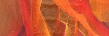 Jodi Sukonick Volk banner