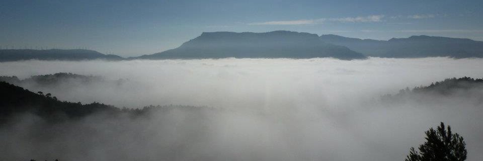 Núria Bea Solé banner