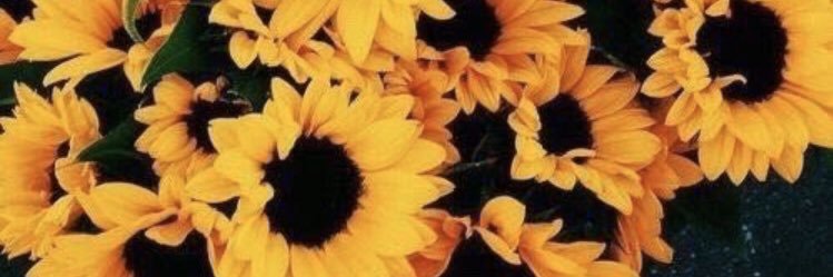 Meelu23's profile banner image