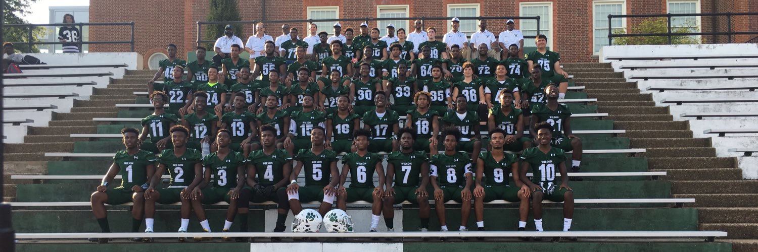 Wilson Tigers banner