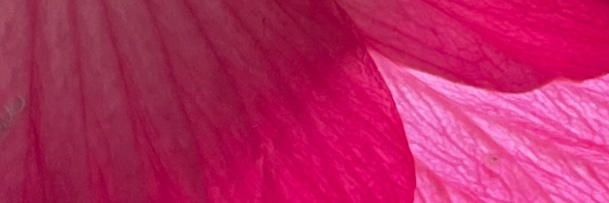 bunsogram's profile banner image
