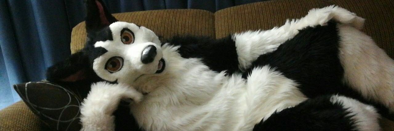 The Fun-Sized Husky 🔜 TFF 2026 banner