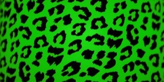 こうちゃむ banner