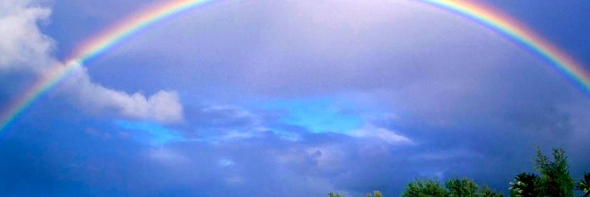luucampaner's profile banner image