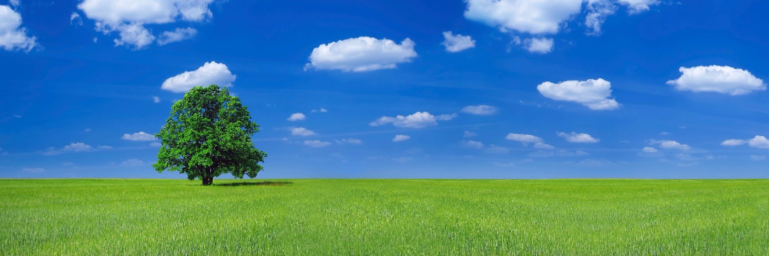 ChrisLeef's profile banner image