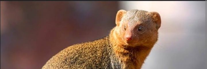 mwathi12's profile banner image