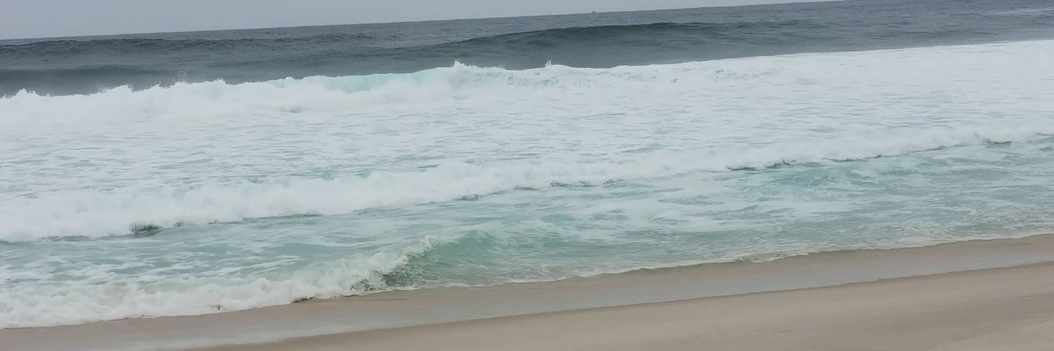 silviamedvet's profile banner image