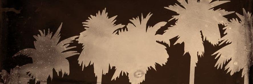 Randoms49's profile banner image