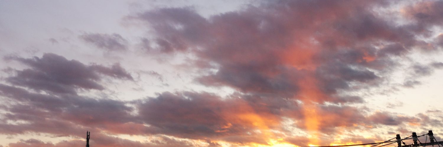 fsmoon2010's profile banner image