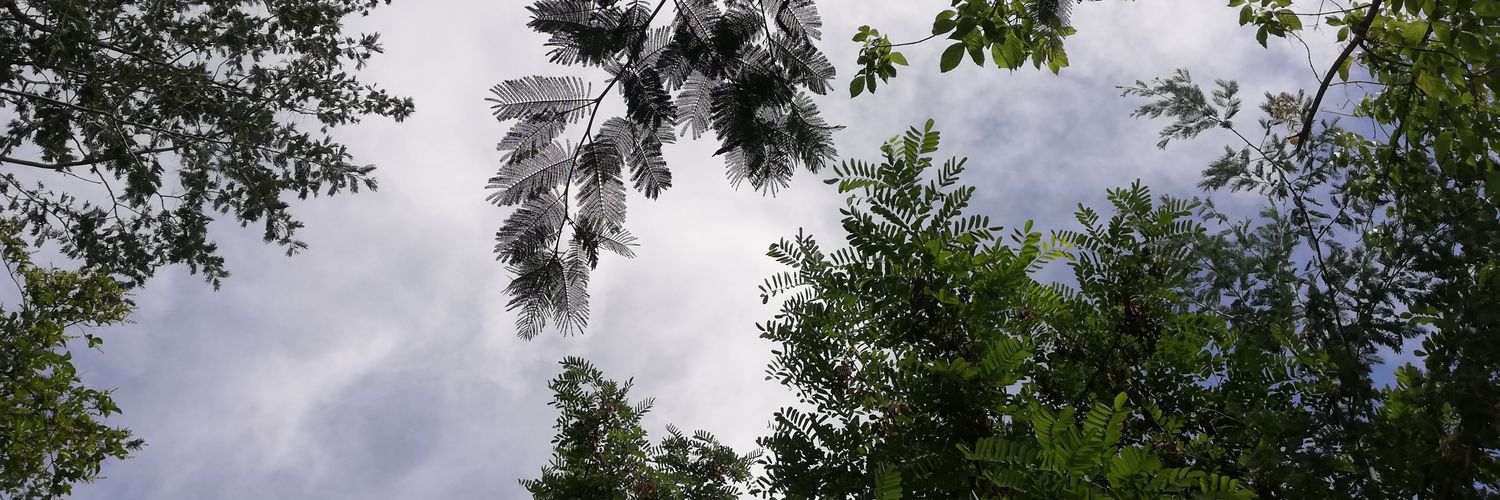 krussella's profile banner image