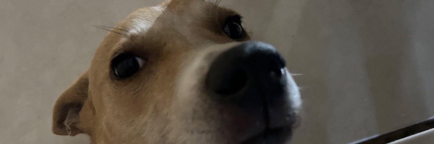 rutecav's profile banner image