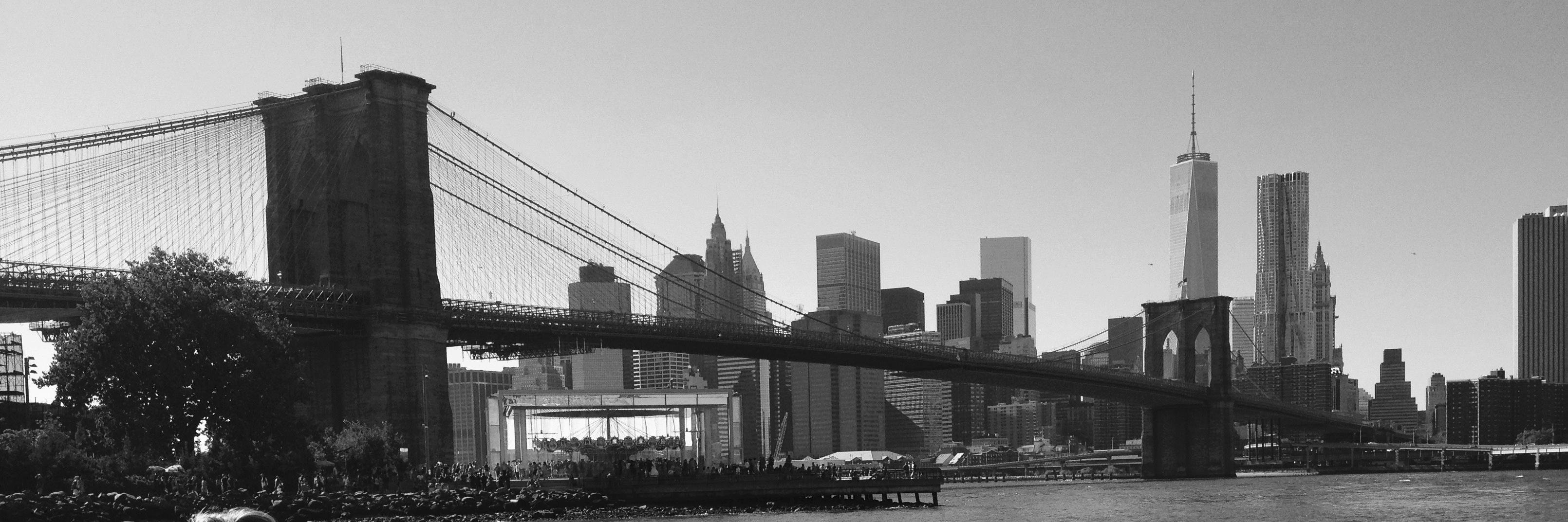 Emily AppletonHolley banner