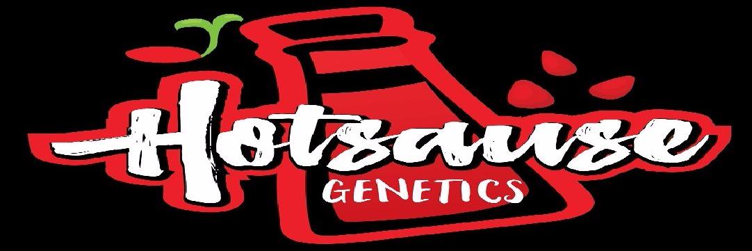 Hotsause420's profile banner image