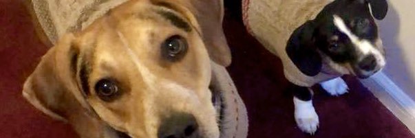 Paige__1's profile banner image