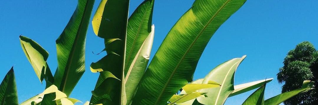 __sannaaaa's profile banner image