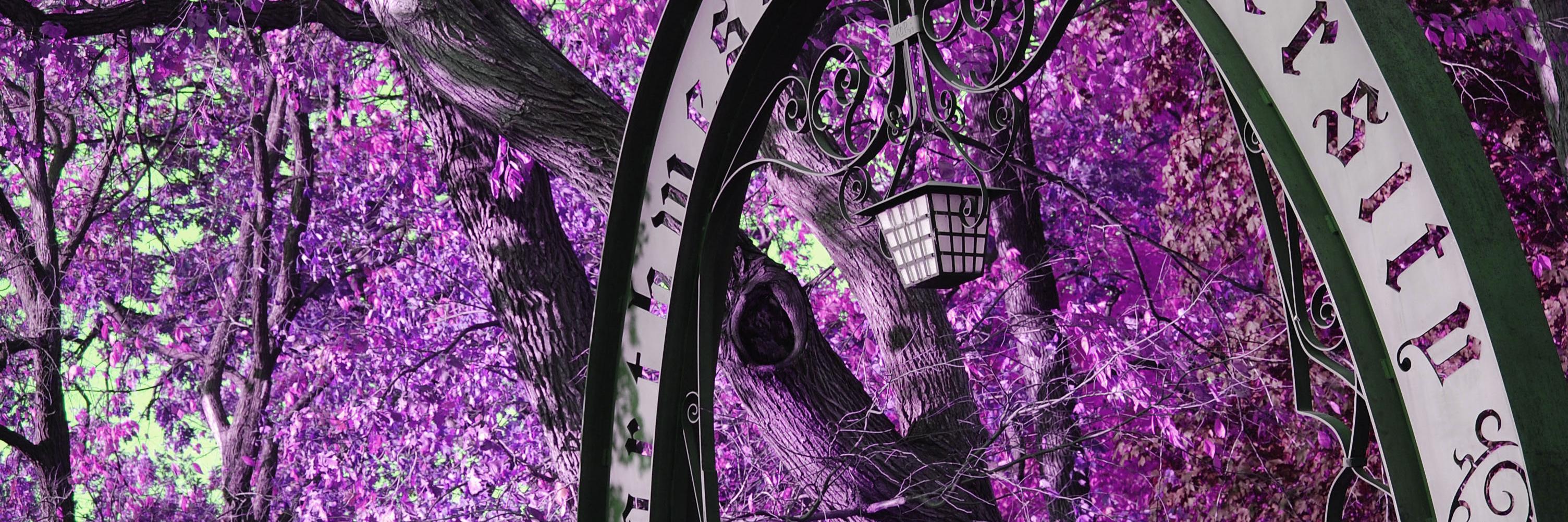 MEMNorthwestern's profile banner image