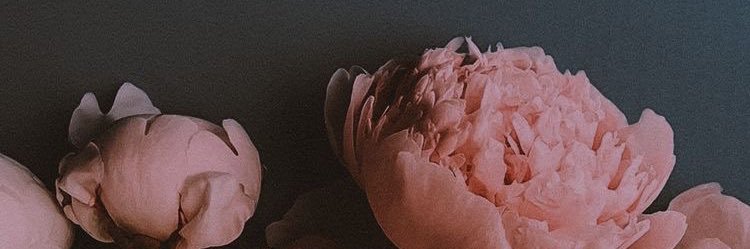 OrangeDina's profile banner image