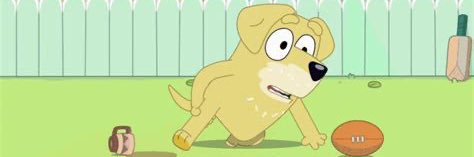 Derek VanRiper banner