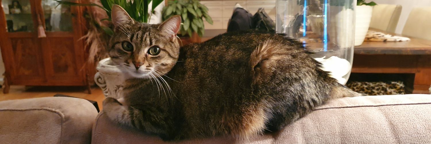 RuthPos's profile banner image