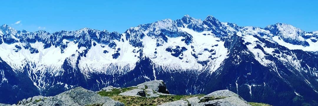 Daniela Spini banner