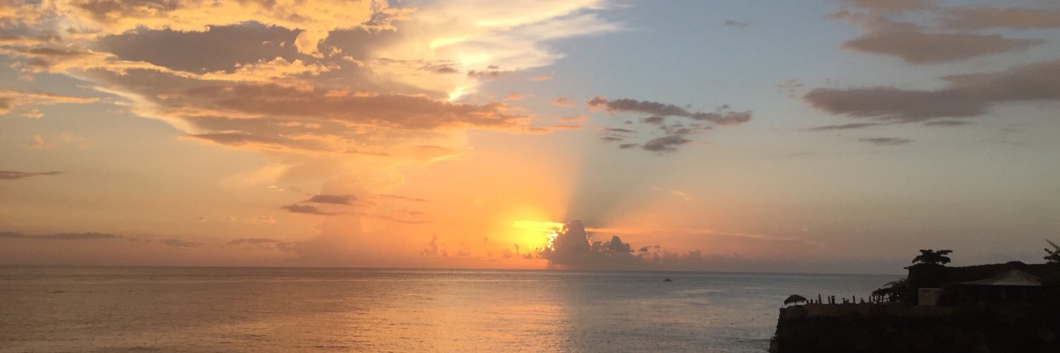 MsAnnieHanson's profile banner image