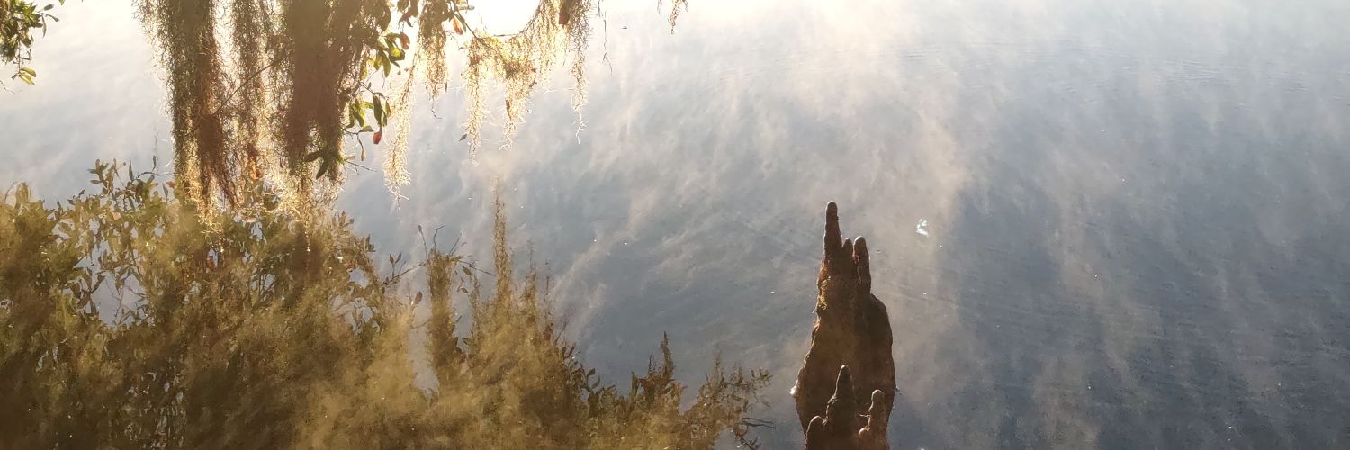 BUpthagrove's profile banner image