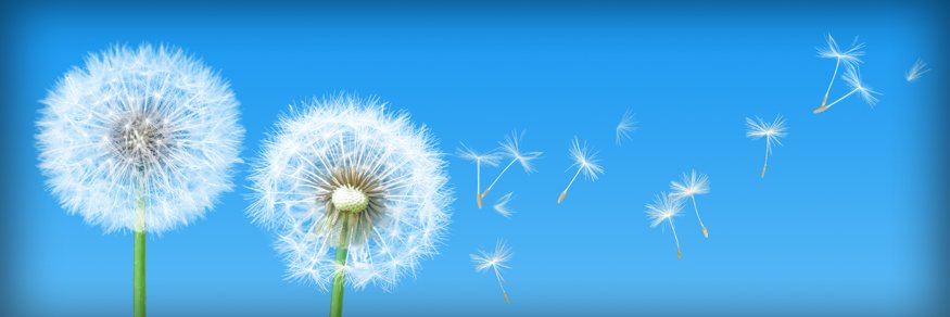 SybertTchr's profile banner image